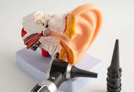 Otitis Media With Effusion (OME)